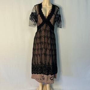Sheer Embroidered Mesh Dress Black Nude Gothic Romantic Lace Overlay Belle Poque